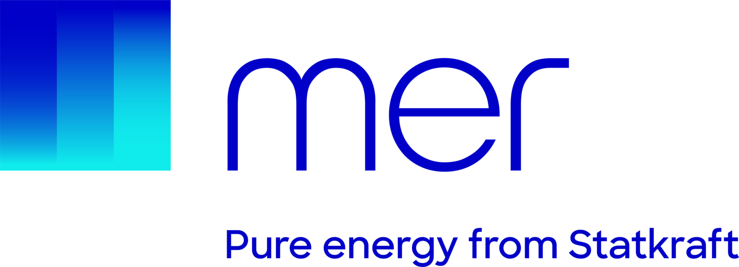 {{ companyDetails.company }} Logo